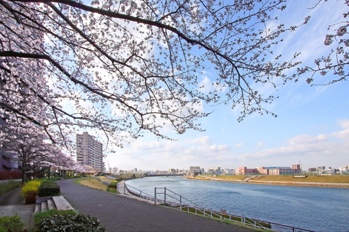 南千住六丁目緑地（徒歩6分・約470m）